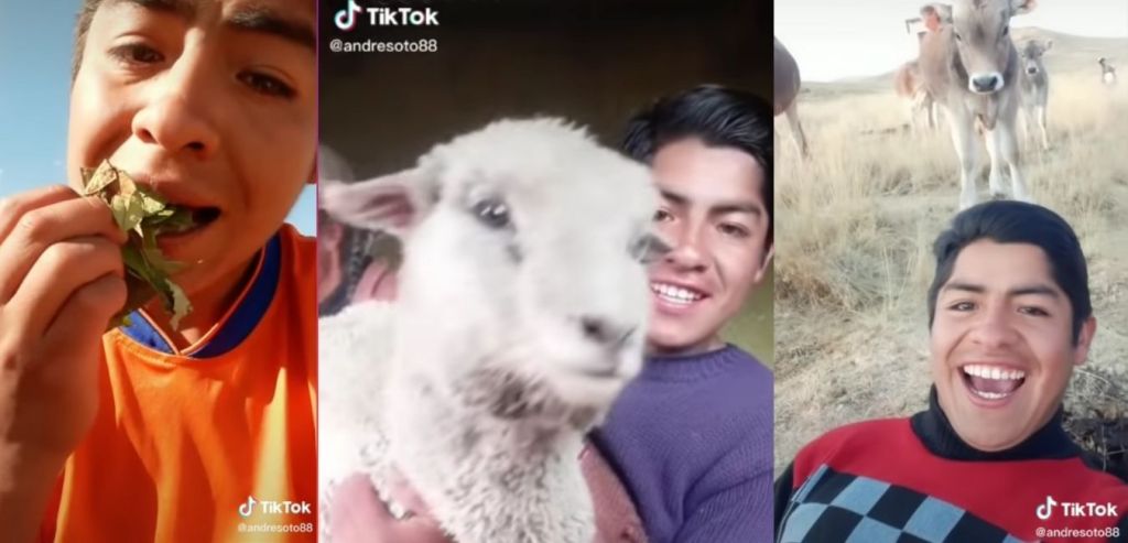 Lo studente REGISTRA TikTok della sua VITA sul CAMPO 