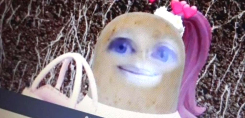 Professore con Filtro di MRS FACE OF PAPA