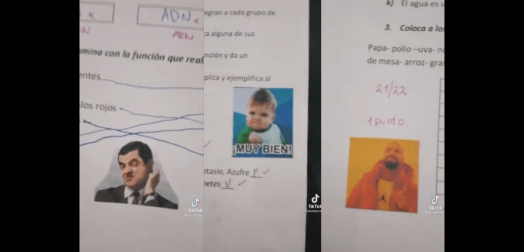 Questo insegnante VALUTA CON I MEMES